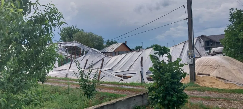 VIDEO Comuna Matca, puternic lovită de tornadă: zece hectare de solarii distruse