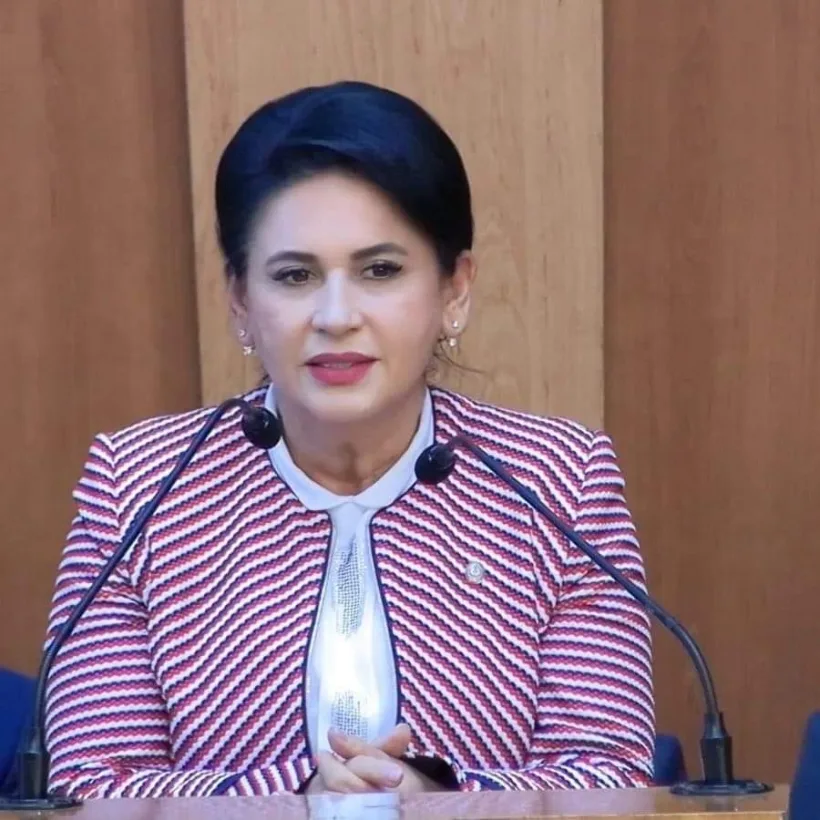Deputatul Viorica Sandu anunță ultimele noutăți despre Proiectul Legii Bugetului pentru 2024