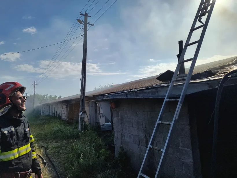 Incendiu puternic la o fabrică de peleţi, din județul Galați