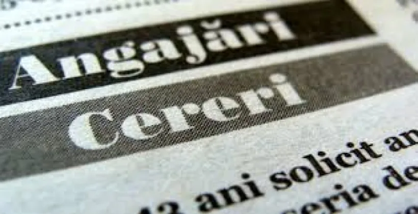 Câți gălățeni s-au angajat, în 2024, cu sprijinul AJOFM