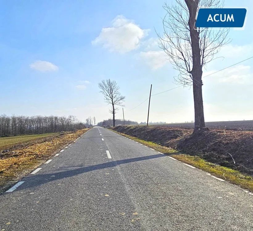 Intervenție pe drumurile județene: muncitorii CJ înlătură vegetația uscată pentru un trafic mai sigur