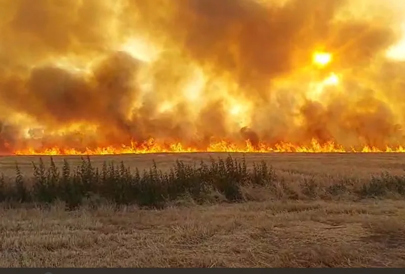 Incendiu de proporții la ieșire din Tulucești spre Cuca