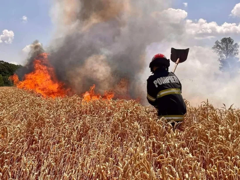 Avertismentul Direcției Județene de Mediu Galați: Incendierea vegetației este strict interzisă!