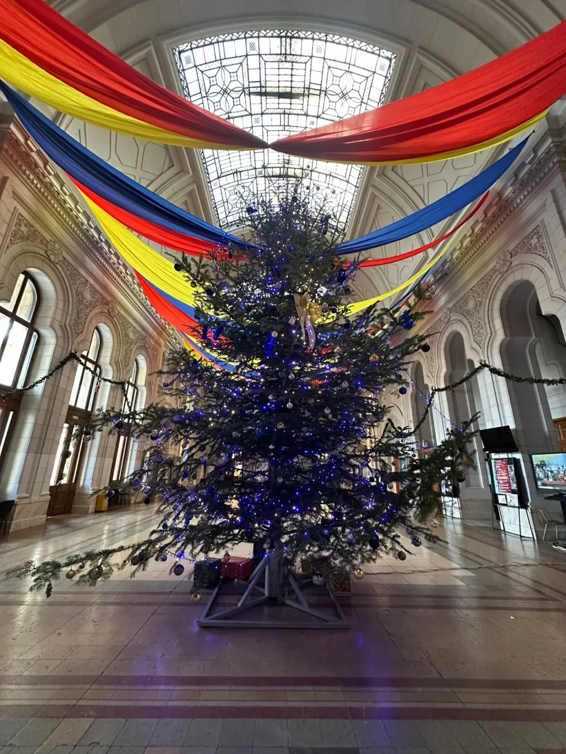 Spiritul Crăciunului ajunge la Galați: cel mai mare brad natural din oraș la universitate