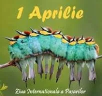 1 aprilie - Ziua internaţională a păsărilor