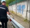 Întâlnire neașteptată pe șosea: copii speriați de un șarpe de aproximativ 2 metri, în zona Uzinei de Apă