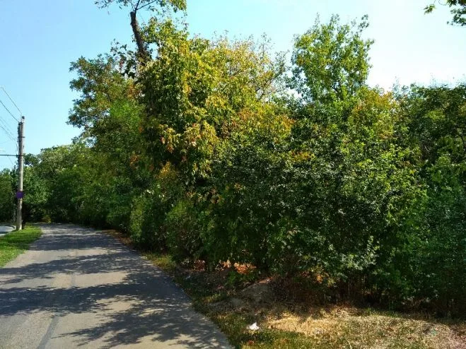 Un colț uitat al Galațiului prinde viață. Proiect amplu pentru transformarea Văii Țiglinei