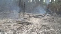 Incendiu de proporții pe malul Dunării. Au ars șase hectare de vegetație, iar pompierii au luptat 10 ore să stingă focul
