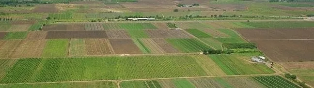 Aproape jumătate din suprafețele agricole însămânțate sunt calamitate de secetă
