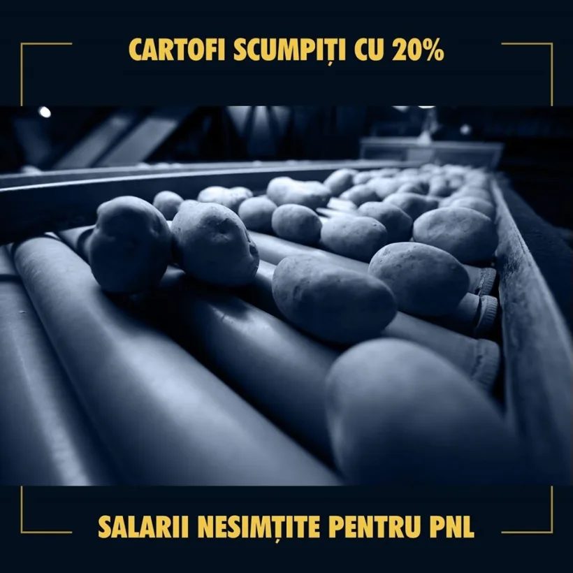 PSD:"Pentru români cartofii s-au scumpit cu 20% și se anunță noi scumpiri. Pentru liberali, bugetul țării a devenit pușculiță de partid"