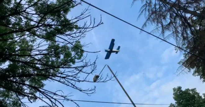 Vești bune pentru gălățeni! Începe dezinsecția aeriană împotriva țânțarilor