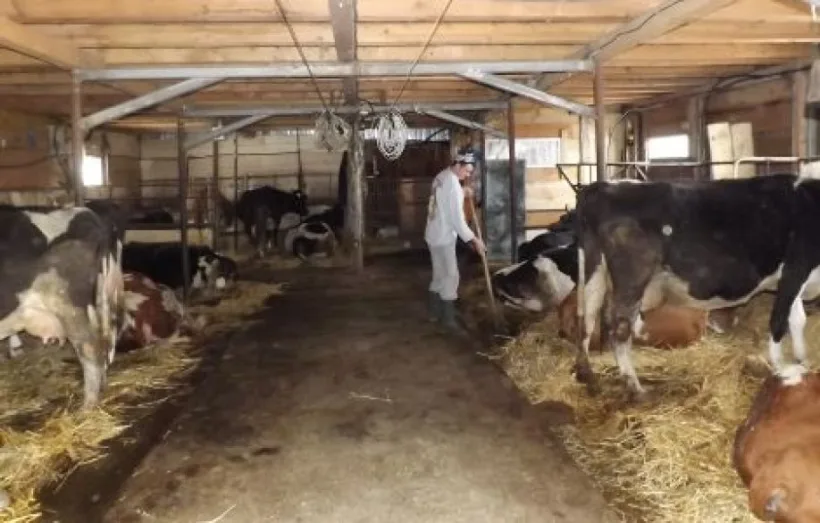 COVID-19: Încredere scăzută în programele guvernamentale de ajutor de stat