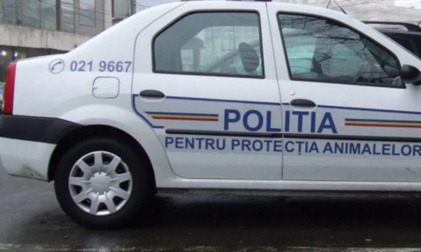 Se fac angajări din sursă externă la Poliția Animalelor. Câte posturi sunt disponibile