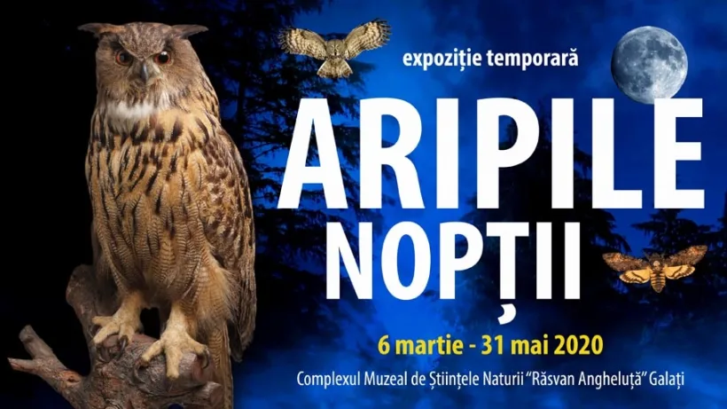Expoziție temporară, intitulată „Aripile nopții”