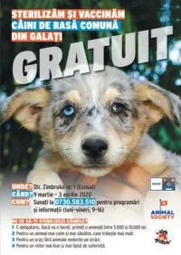 Campanie gratuită de sterilizare a câinilor fără stăpân