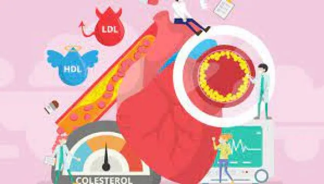 Cele mai frecvente afecțiuni cardiovasculare