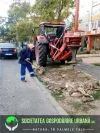 SC Gospodărire Urbană Galați taie copacii „100% uscați”