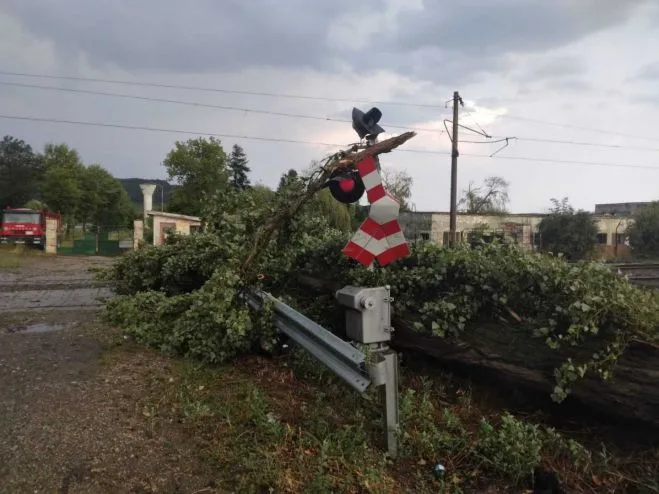 Regionala CFR Galați, licitație pentru tăierea a aproximativ 400 de copaci periculoși pentru lângă calea ferată