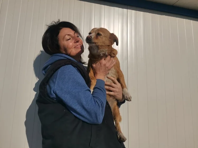 Cazare si sprijin pentru animalele refugiaților din Ucraina. Ajutați-l pe Lăbuș: Este nevoie să ne implicăm