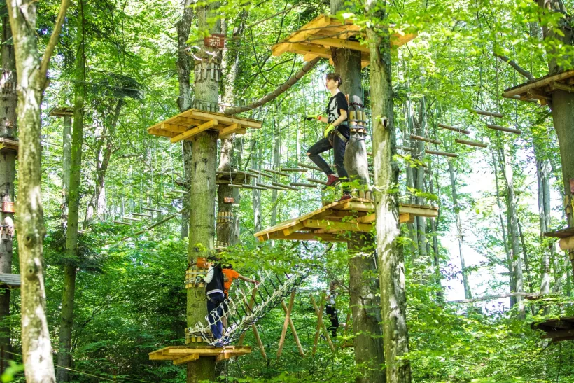 Parcul de Aventură din Pădurea Gârboavele prinde contur