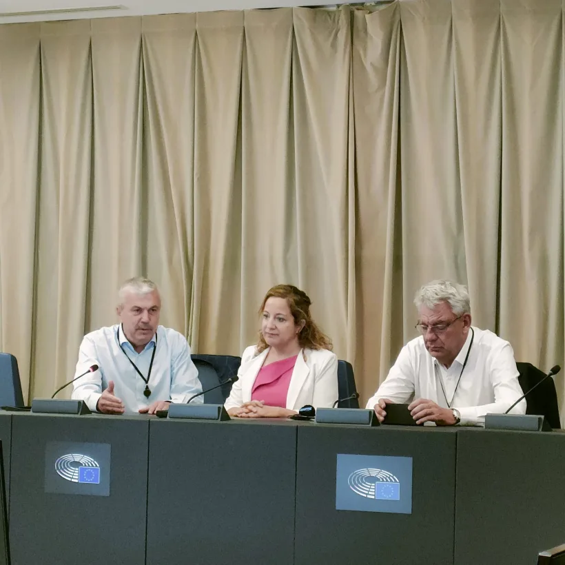 Președinta Grupului S&D din Parlamentul European:„Este total de neînțeles de ce nu sunteți în Spațiul Schengen, deja ați îndeplinit toate criteriile!”