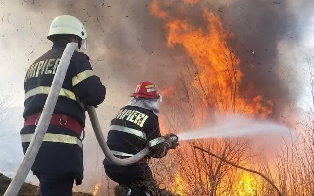 Incendiu la frontieră: două hectare de vegetație uscată au ars la ieșirea din țară spre Giurgiulești