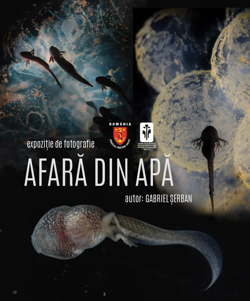 Expoziție de fotografie inedită, la Complexul Muzeal de Științe ale Naturii