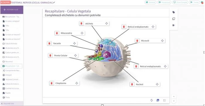 Educație prin valorificarea de resurse digitale educaționale deschise