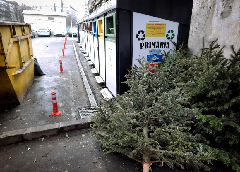 Brazii aruncați la gunoi vor fi transformați în îngrășământ natural
