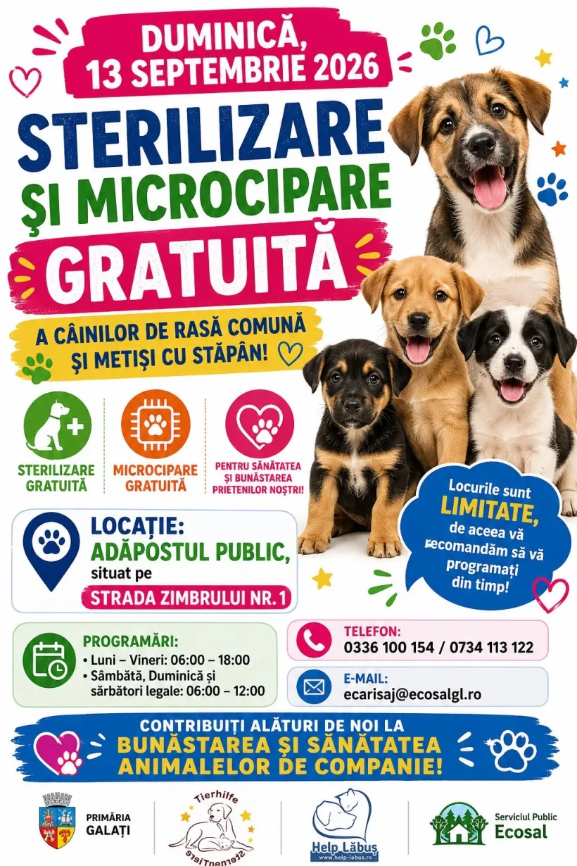 Sterilizare și microcipare gratuită a câinilor din Galați